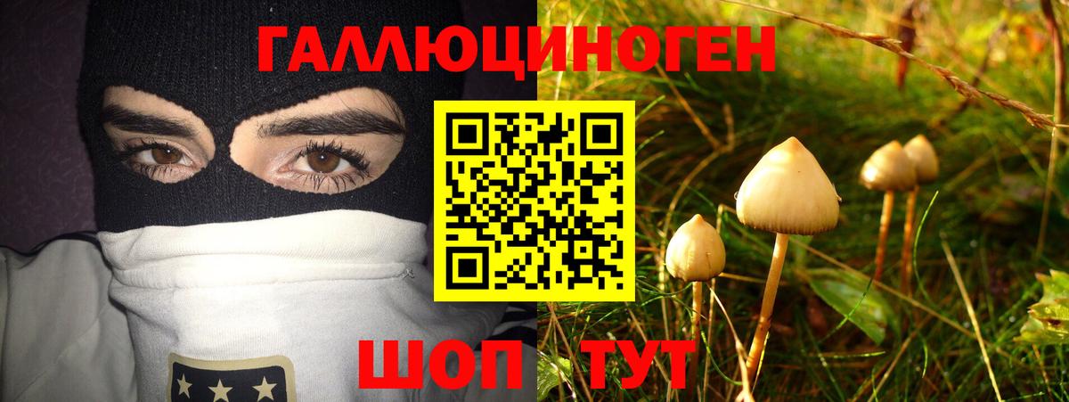Псилоцибиновые грибы мицелий  Псилоцибиновые грибы прущие грибы  Абинск  Вход с VPN 